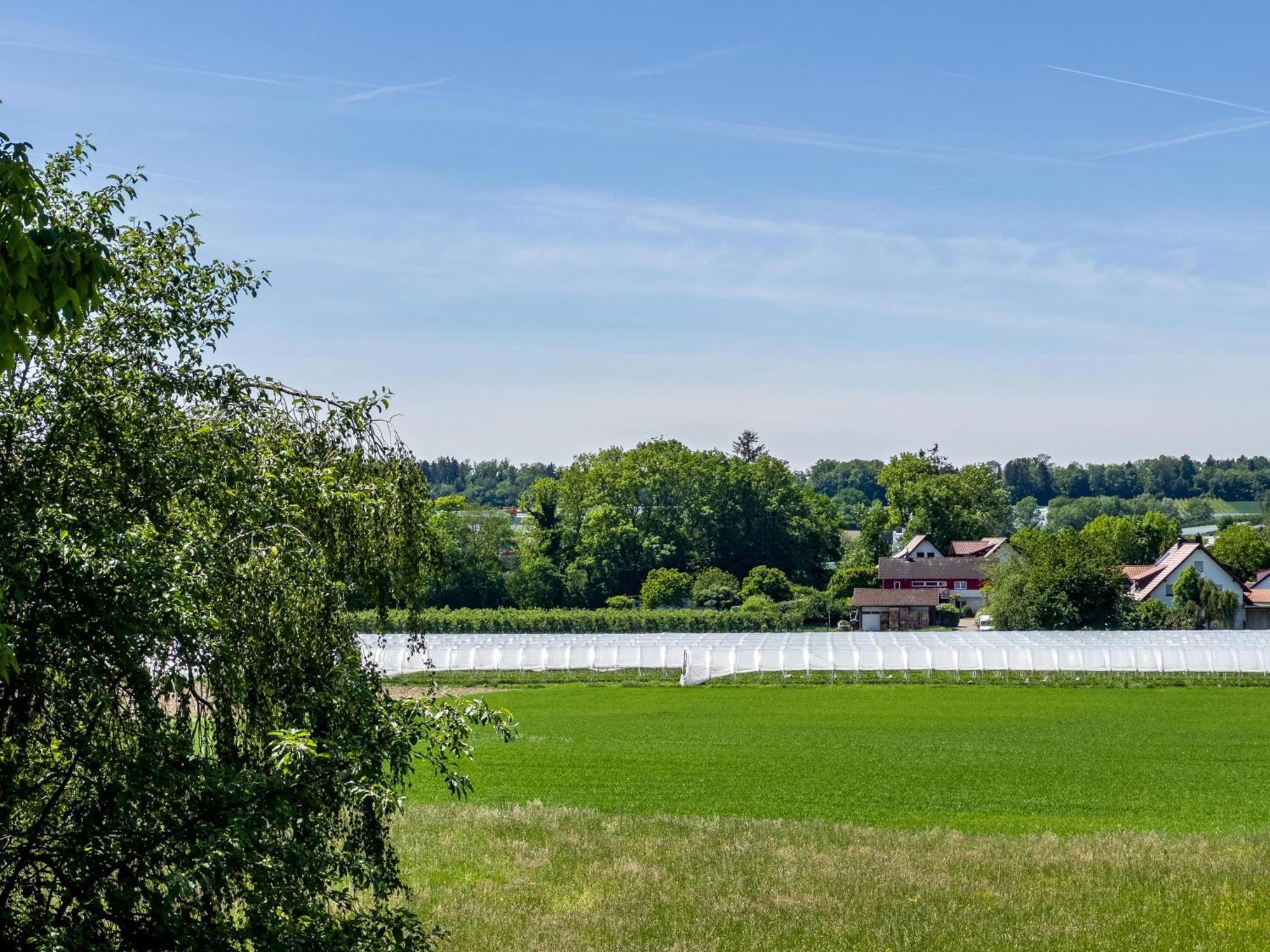 Haus Sohl 1 Apartment Friedrichshafen Bagian luar foto
